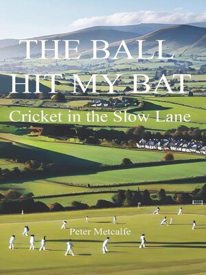 cover image of The Ball Hit My Bat